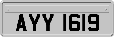 AYY1619