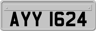 AYY1624