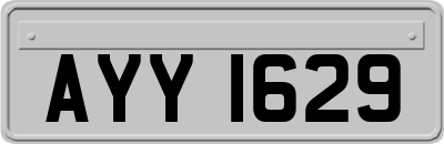 AYY1629