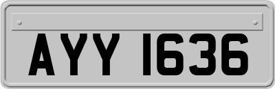 AYY1636