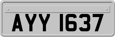 AYY1637
