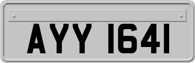 AYY1641