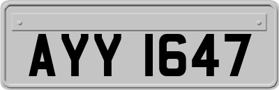 AYY1647