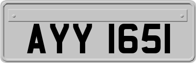 AYY1651