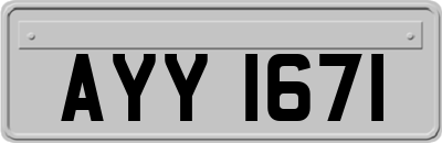 AYY1671