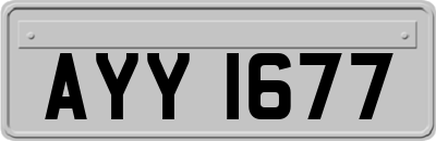AYY1677
