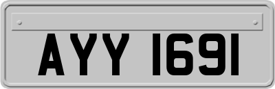 AYY1691