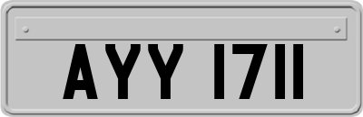 AYY1711