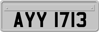 AYY1713