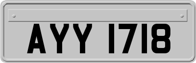 AYY1718