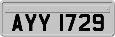 AYY1729