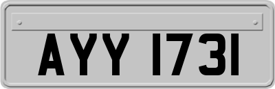 AYY1731