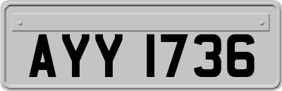 AYY1736