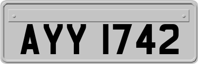 AYY1742