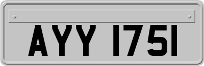 AYY1751