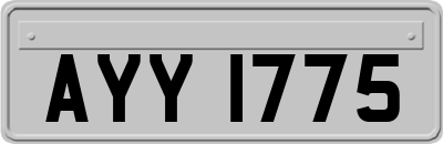 AYY1775