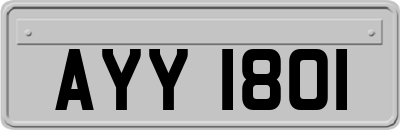 AYY1801