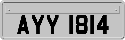 AYY1814
