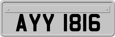 AYY1816
