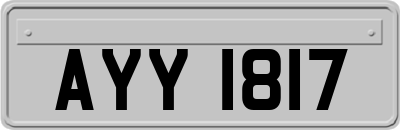 AYY1817