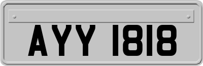 AYY1818