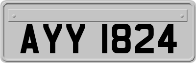 AYY1824