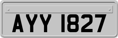 AYY1827