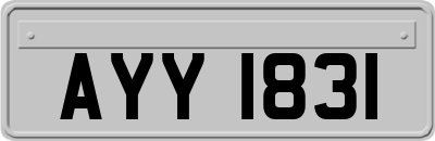 AYY1831