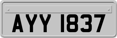 AYY1837