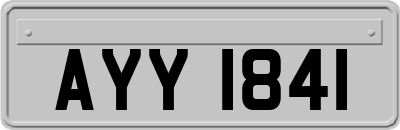 AYY1841