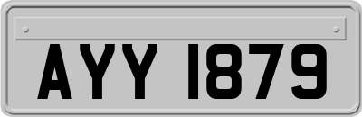 AYY1879