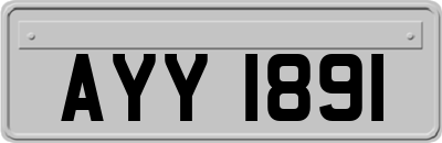 AYY1891