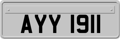 AYY1911