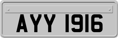 AYY1916
