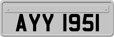 AYY1951