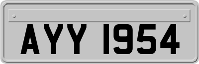 AYY1954