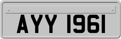 AYY1961