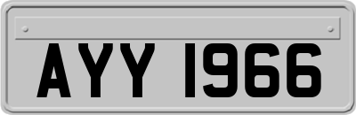 AYY1966