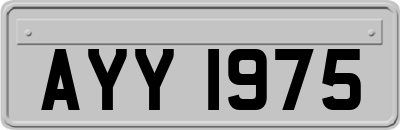 AYY1975