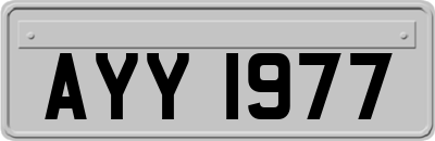AYY1977
