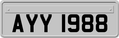 AYY1988