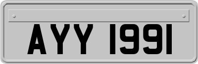 AYY1991