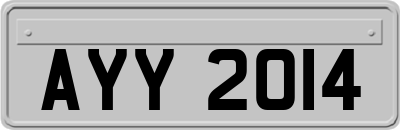 AYY2014