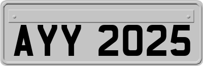 AYY2025
