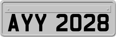 AYY2028