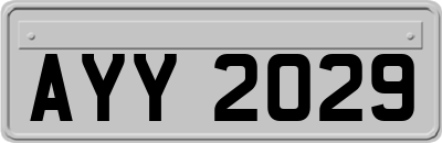 AYY2029