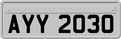 AYY2030