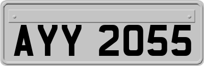 AYY2055