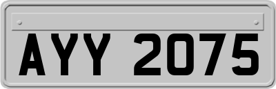 AYY2075