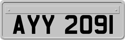 AYY2091